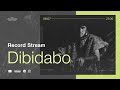 Record stream  dibidabo