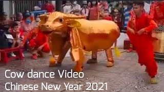 Cow Dance, 2021 Year of The Metal OX