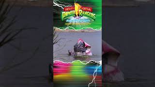 Piranhatis Head Strikes | Power Rangers Re-Ignition Toy Force