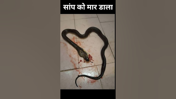 अगर आप अपने सपनों में किसी सांप को मार डालते हैं तो आपके साथ क्या होगा! 😯😲