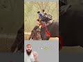 النمر يقوم بهجمة مفاجئة وقفزة مذهلة ليصل إلى ركاب الفيل محاولا سحب أحد الأشخاص 