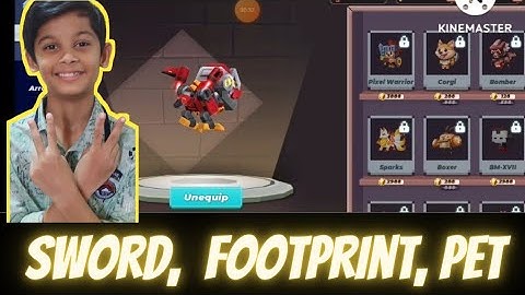 Sword Effect, Foot Print And Pet from Elite Pass In Blockman Go