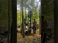 Revolutionizing Rural Power: Solar Panel Installation & Grid Upgrades in Action