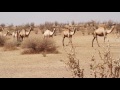 Middle of video