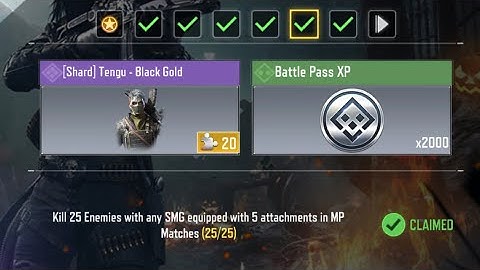 KILL 25 Enemies with any SMG equipped with 5 attachments in MP Matches