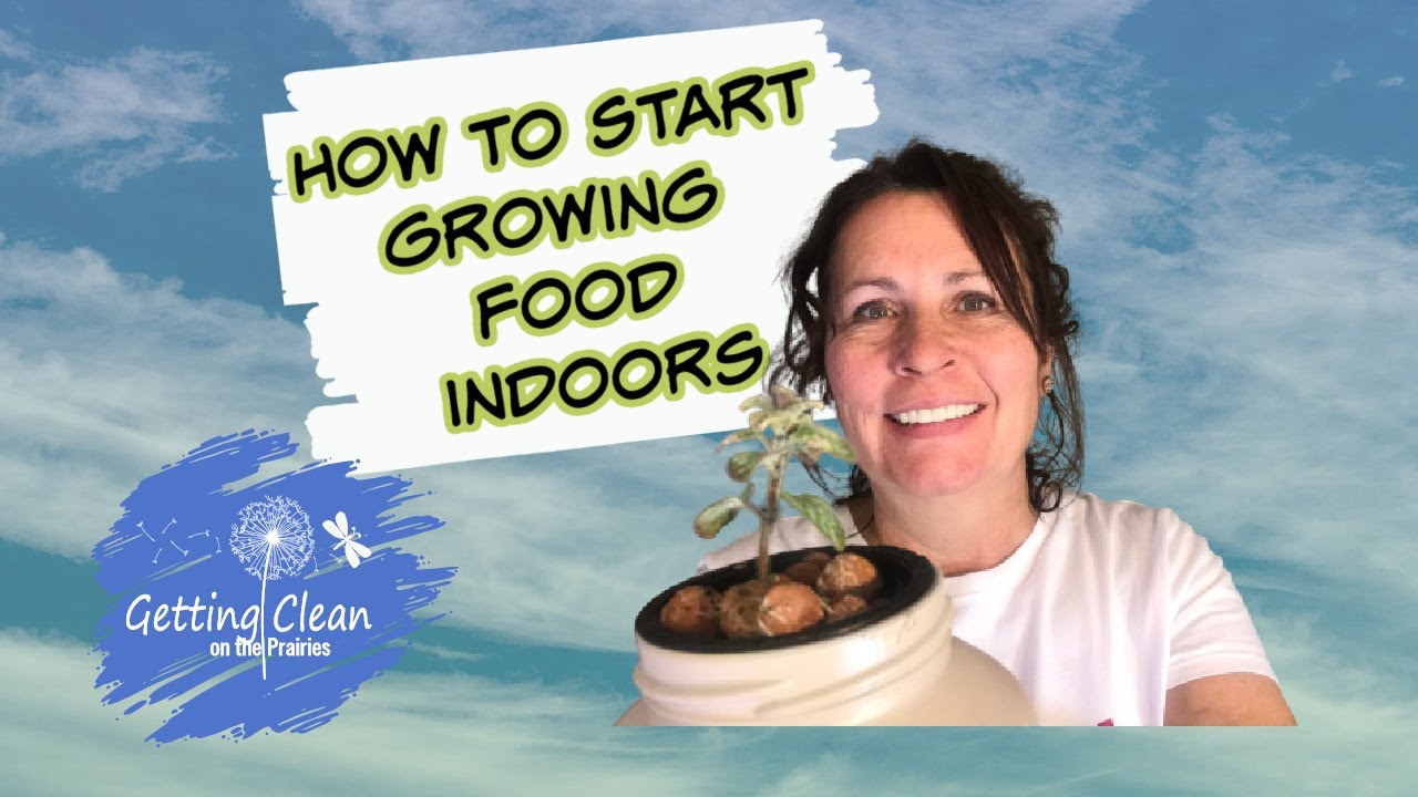 Learn How to Grow Food Indoors in Winter Kratky Method No Soil