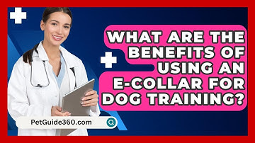 What Are the Benefits of Using an E-Collar for Dog Training? - PetGuide360.com
