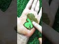 Simple and easy leaf mehndi design🌿 #shorts #henna #creativehenna #leafhenna #mehndi