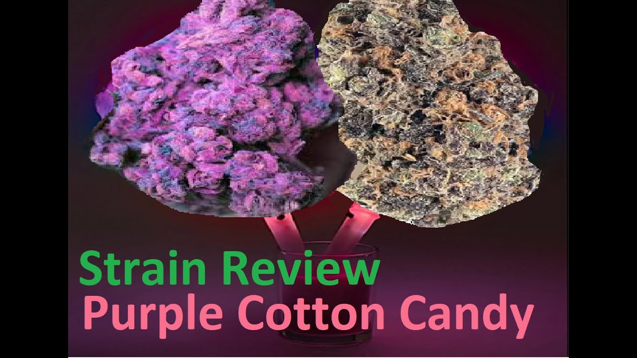 Purple Cotton Candy Strain Kush Review purplecottoncandy strainreview