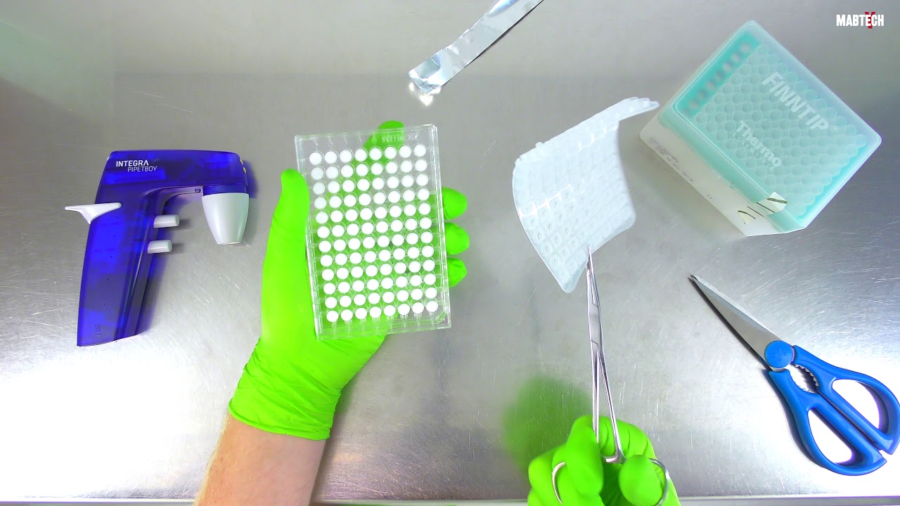 ELISpot Tutorial How to Handle the Underdrain YouTube