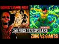 Brook's Dark Past! Zoro Attacks Dorry &amp; Brogy (One Piece 1173 Spoilers Hindi)
