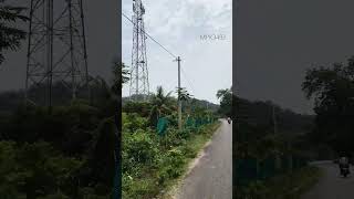 power line's with plants #viral #current #lines #plants #viralshort #