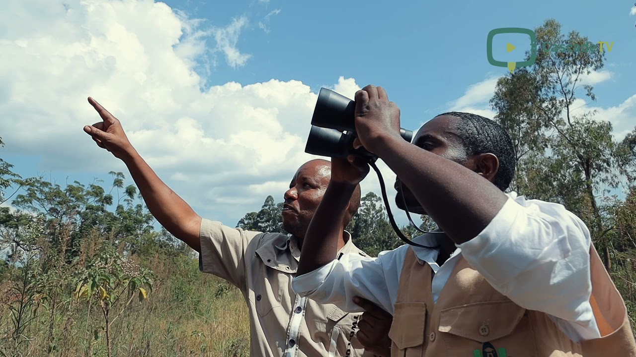 Tourism Management - Cascade Institute of Hospitality