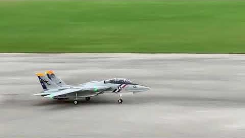 Freewing F-14 with afterburners