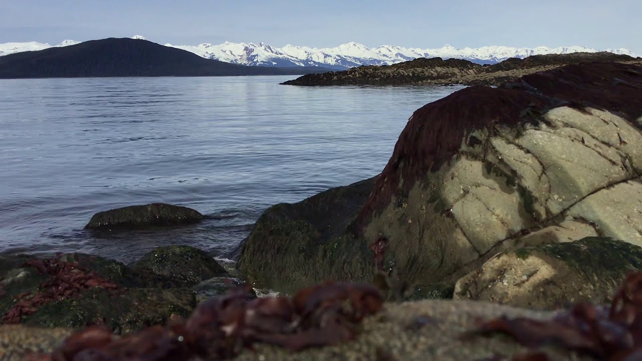 Low tide morning at the Shrine of St.Therese