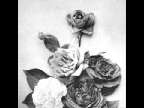 Promise - Adoration