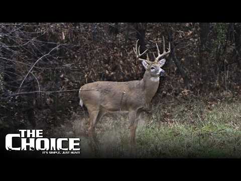 Muzzleloader Hunting Whitetails in Missouri | The Choice