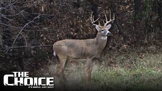 Muzzleloader Hunting Whitetails in Missouri | The Choice