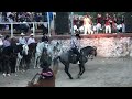 Caballos Bailadores En Las Fiestas La Joya Jalisco 1/12/22