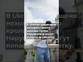В Ukraine запрещено называть своего кролика Путин. Нарушители могут попасть за решетку.