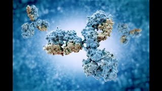New antibody study for COVID-19