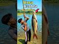 Itna बड़ी machliye haath se chut gya | Mini Vlog #minivlog #bigfish #desijugaad #fishingrod