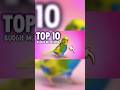 Top 10 budgie mutations #budgies #parakeet #lovebirds #birds #budgiesegg #mutations #cute