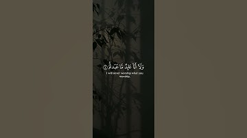 سورة الكافرون ||حالات واتس قرآن||تلاوة #ياسر_الدوسري
