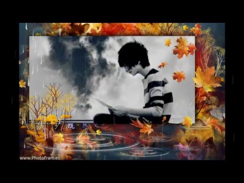 放開你的理由 韓晶
