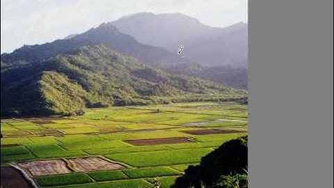 Finding the X Y coordinates of an image using MS Paint