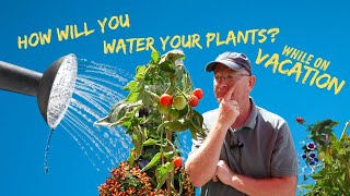 How To Water Your Plants When You Go On Vacation!