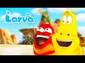 Island adventure  larva  cartoons for kids  wildbrain kids