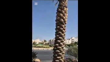تلاوه #قران كريم #اكسبلور.. اجر لي ولكم