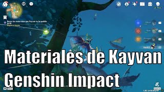 Look for the materials that Kayvan needs- Custom Mission - Genshin Impact