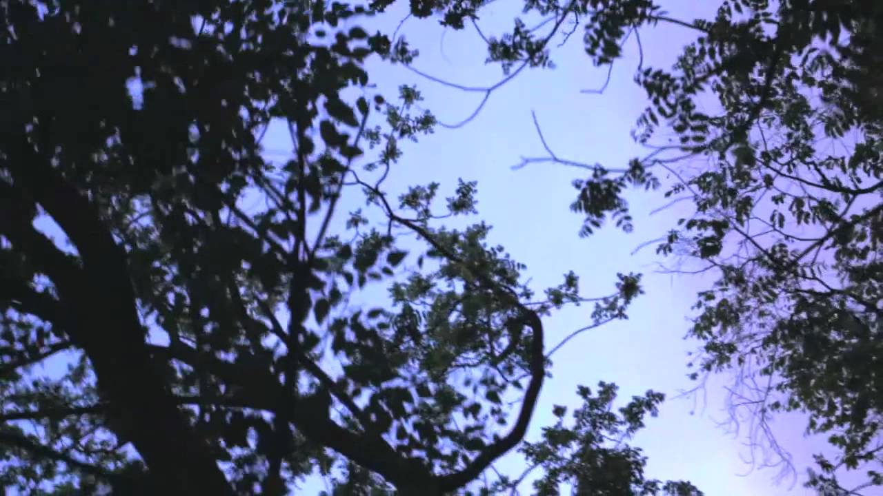 Columbia Nights - As You Are