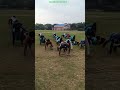 #army #police#navy#sscgd #physical #wbp#kp#Rpf#AIM #shorts#trending #viral #animal moment #agniveer