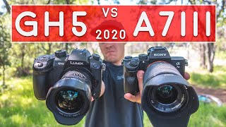 Panasonic GH5 vs Sony A7III - Updated 2020 Review