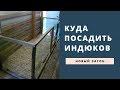 Загон для индюков // Переселение индеек // Жизнь в деревне