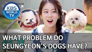 What problem do Seungyeon's dogs have? [Dogs are incredible/ENG/2020.06.10]