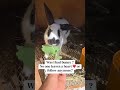 @Tanman0323 @thecardboardbunny @Defonot.Kayleigh @hildawalker594 @dorotasosnowska3369 ​⁠