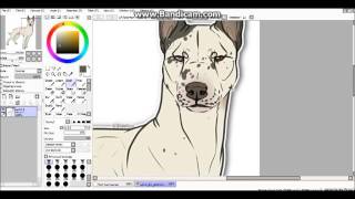 'A rare sight to see'- Dog Speedpaint