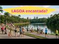 A ÚNICA natural do Recife. Venha conhecer em DETALHES!