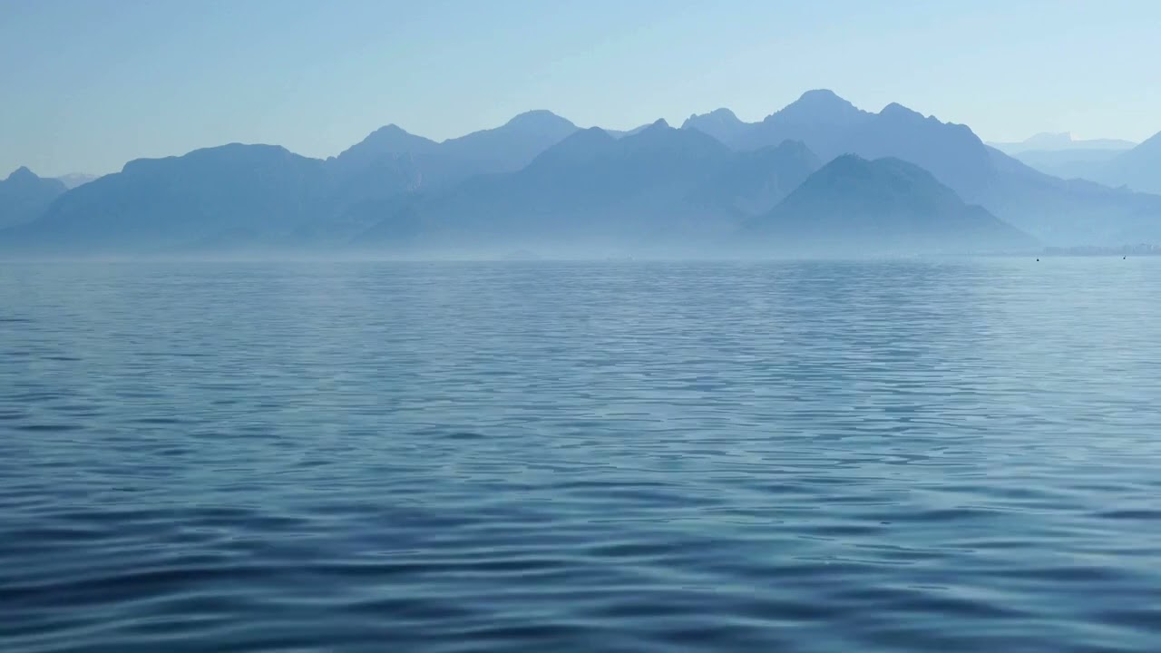 DIELLI x HANA - MAL x DET