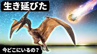 小惑星が恐竜を絶滅させたけど、鳥は今でもいる！？空飛ぶ恐竜がどのようにして生き延びたのか