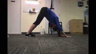 Bear crawl to down dog