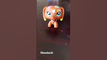Thumbnail of Mandacik 🤗 #capcut #music #funny