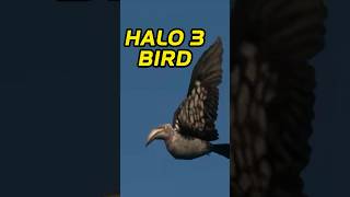 The HIDDEN Halo 3 Bird (Halo Files EP 20)