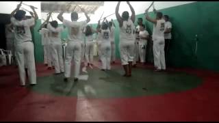 Ensaio de maculele(4)