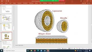 2022 10 04 17 01 36 Micro Lecture