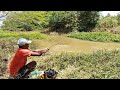 Awesome rohu fishing | Rohu fish catch